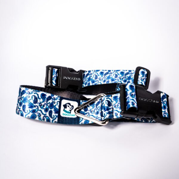 Home mandalas celestes