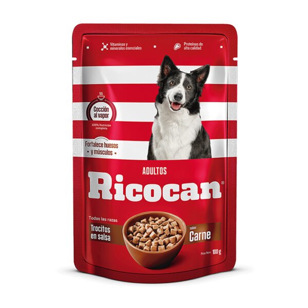 ricocan en lata 290g sabor pollo con verduras (copia)