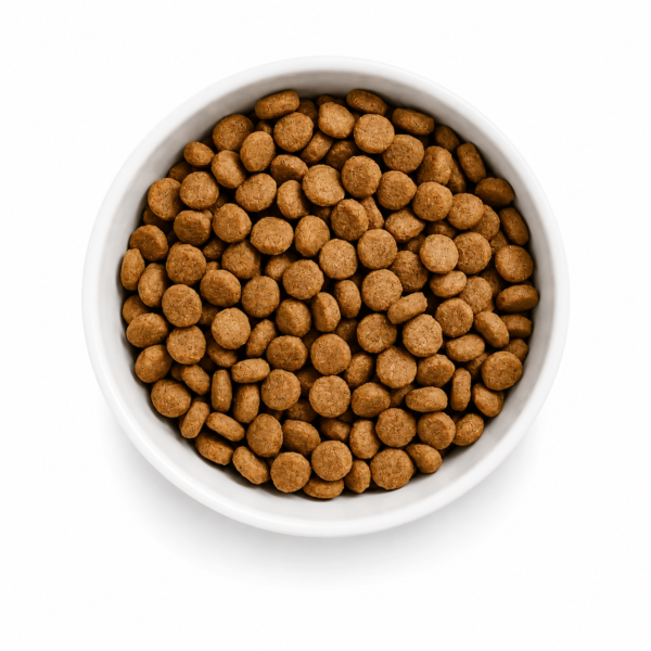 Alimento seco