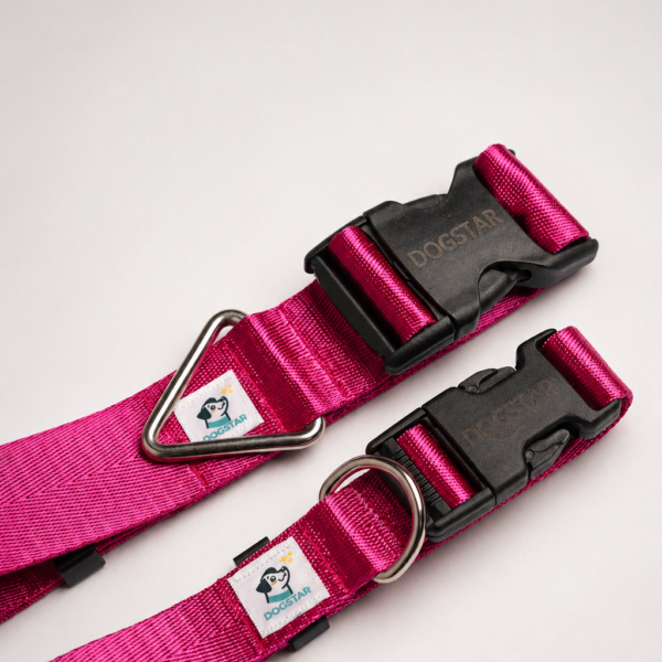 fucsia