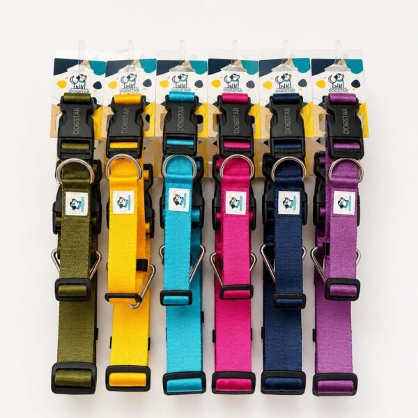 Color Entero