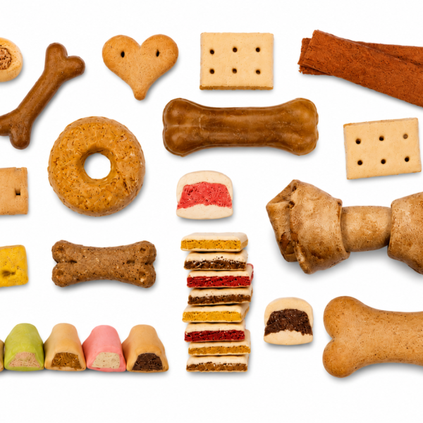 Snacks y Premios